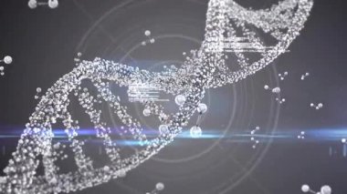 Bilimsel veri işleme animasyonunda DNA ipliği ve ikili kodlama. Biyoteknoloji, genetik, biyoenformatik, veri analizi, moleküler biyoloji, teknoloji