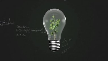 Okulun karatahta tahtasında denklemlerle büyüyen bitki animasyonu. Sürdürülebilirlik, yenilik, ekoloji, büyüme, enerji, eğitim