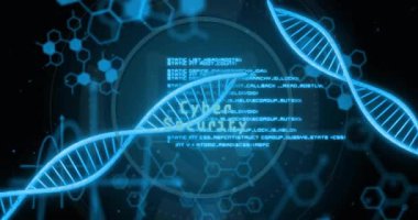 Bilimsel veri işleme için ikili kodlama ve DNA dizisi animasyonu. Teknoloji, bilim, yenilik, genetik, biyoteknoloji, analiz