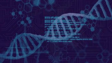 Bilimsel veriler işleniyor, DNA ipliği ikili kodlama animasyonuyla iç içe geçiyor. Biyoteknoloji, genetik, biyoenformatik, dijital bilim, yenilik, araştırma