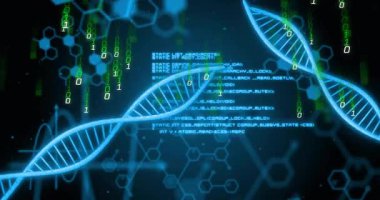Bilimsel veriler işleniyor, DNA dizilerinin ikili kodlama elementleriyle canlandırılması. Biyoteknoloji, genetik, biyoenformatik, moleküler, sarmal, dijital