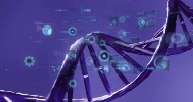 Dijital animasyonlu DNA ipliği mor arkaplandaki veriyi görselleştiriyor. Biyoteknoloji, genetik, bilim, araştırma, yenilik, fütüristik