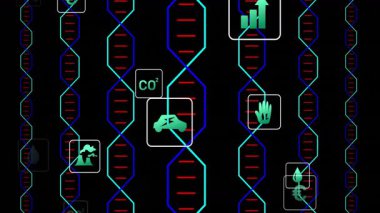 Siyah arkaplanda kullanım simgeleri olan DNA iplikçiklerinin animasyonu. Genetik, biyoteknoloji, dijital, bilim, araştırma, sarmal