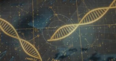 Bilimsel veri işleme animasyonu üzerinde DNA iplikleri ve matematiksel formüller. Biyoteknoloji, moleküler, genetik, araştırma, analiz, hesaplama