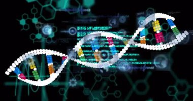 Bilimsel veriler işleniyor, DNA dizisi ve ikili kodlama dizisi. Bilim, biyoteknoloji, genetik, dijital, yenilik, teknoloji