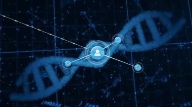 Bilimsel veri görselleştirmesindeki ağ bağlantılarıyla DNA ipliklerinin animasyonu. Biyoteknoloji, genetik, moleküler, bilim, araştırma, fütüristik
