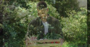 Tahta sandık dolusu taze sebze taşıyan, yemyeşil bir bahçede çalışan bir adam. Bahçe, tarım, organik, hasat, tarım, üretim