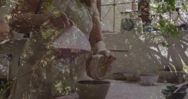 Kase içine sıvı dökerek, yemyeşil ağaç dallarının animasyonunu yapan kişi. Doğa, büyüme, sürdürülebilirlik, yeşillik, çevre, sağlık