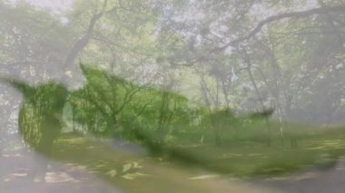 Ormanla harmanlanmış yeşil yaprakların canlandırılması doğal uyum etkisi yaratır. Doğa, sükunet, çevre, yeşillik, ekoloji, bereket