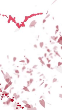 Beyaz arka planda hareket eden pembe kalplerin animasyonu. Sevgililer Günü, aşk ve romantizm konsepti dijital olarak oluşturulmuş video.