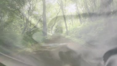Puslu orman yolundaki yemyeşil ağaçların arasından süzülen güneş ışığı animasyon yaratır. Doğa, sükunet, ormanlık, dinginlik, yeşillik, huzur