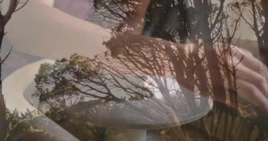 Kaseyi tutarken, arka planda güneş ışığı animasyonuyla orman ağaçlarını kaplayan eller. Doğa, sürdürülebilirlik, ekoloji, çevre, koruma, uyum