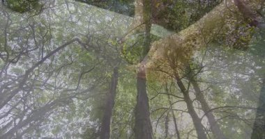 Ağaç dallarına dokunmak, yemyeşil orman animasyonunda doğayı keşfeden eller. Keşif, yeşillik, macera, biyolojik çeşitlilik, yeşillik