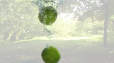 Okul arka planında park animasyonu olan limonlar suya sıçrıyor. Citrus, ferahlık, hareket, sıvı, meyve, canlı