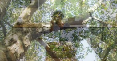 Animasyon sırasında ağaç dalları ve yapraklarla harmanlanan soyut geometrik desenler. doğa, simetri, yeşillik, dijital sanat