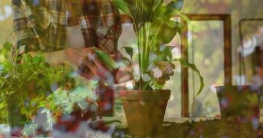 Saksı bitkileriyle ilgilenen, bahçesinde çiçeklerle süslenmiş bir bahçıvan. Bahçıvanlık, bahçıvanlık, yeşillik, doğa, ekme, yeşillik.