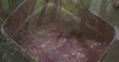 Ormandaki ağaçların arasından süzülen güneş ışığı soyut pembe ve mor desenler oluşturuyor. Doğa, manzara