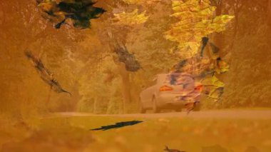 Ormana düşen sonbahar yaprakları bulanık arka planda, sakin bir atmosfer yaratıyor. Doğa, yeşillik, huzur, manzara, huzur, mevsim