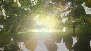Piknik masası ve göletin üzerindeki yaprakların arasından süzülen güneş ışığı. Doğa, sükunet, rahatlama, yeşillik, açık hava, rahatlık.