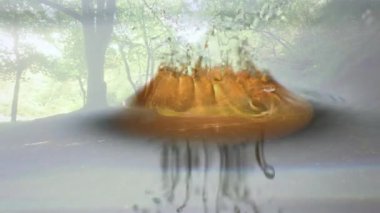 Sakin orman manzarasında yemyeşil ağaçlarla akan su animasyonu. Doğa, sükunet, vahşi doğa, yeşillik, dere, çevre