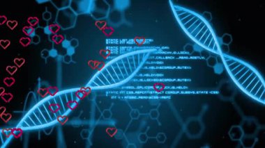 Okul ortamında DNA iplikçiklerinin ve kalp ikonlarının bilimsel veriler üzerinde canlandırılması. Biyoteknoloji, genetik, biyoloji, eğitim, sağlık, araştırma