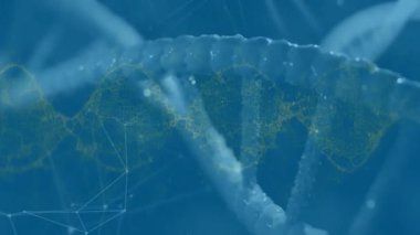 İkili kodlama ile DNA dizilimi, animasyondaki bilimsel veriler. Genetik, biyoteknoloji, biyoenformatik, veri analizi, araştırma, teknoloji