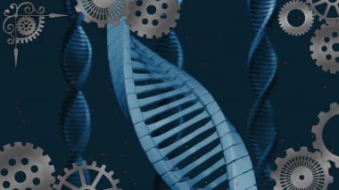 DNA iplikçiklerinin dişlilerle iç içe geçmesi teknoloji entegrasyonunu sembolize ediyor. Biyoteknoloji, yenilik, genetik, mühendislik, sinerji, füzyon