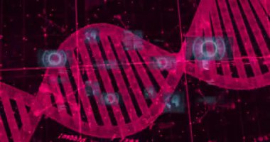 İkili kodlama ile DNA dizilimi, laboratuvarda bilimsel veri animasyonu. Biyoteknoloji, genetik, biyoenformatik, araştırma, analiz, yenilik