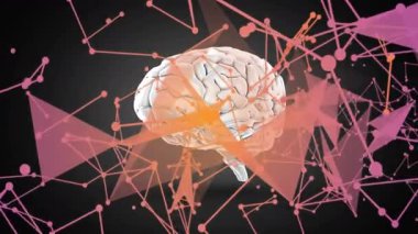 Okul ortamında soyut geometrik ağ ile dijital beyin modelinin animasyonu. Yapay zeka, sinirsel, teknoloji, eğitim, fütüristik, 3D görüntüleme