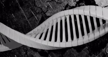 Kırık dünyanın üzerindeki DNA iplikçikleri genetik araştırmalardaki animasyonu sembolize ediyor. Genetik, biyoteknoloji, bilim, yenilik, çevre, biyoloji