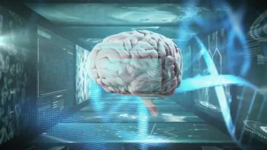 Sanal ortamda veri işleme animasyonuna sahip gelecekçi dijital beyin. Yapay, zeka, teknoloji, yenilik, siber