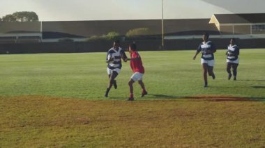 Çimenli sahada ragbi oynayan sporcular yoğun bir maçta yarışıyorlar. Spor, yarışma, açık hava, takım çalışması, atletizm