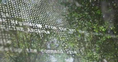 Yemyeşil ağaçların arasından süzülen güneş ışığı orman sahnesinde canlandırma etkisi yaratıyor. Doğa, yeşillik, manzara, doğal, çevre