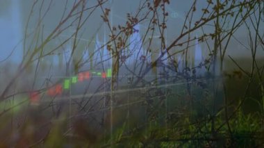 Finansal çizelge, dingin manzarayı çimen ve gökyüzüyle örtüyordu. Finans, yatırım, analiz, büyüme, doğa, ekonomi