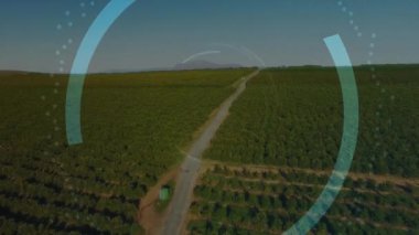 Yemyeşil arazi üzerinde ikili kod animasyonu olan dijital zarf simgesi. Siber güvenlik, teknoloji, şifreleme, iletişim, ağ, veri