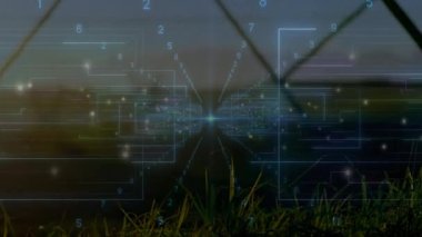 Sayısal sayılar ve çizgiler çimen ve gökyüzü ile manzara üzerinde animasyon. Teknoloji, veri, fütüristik, gökyüzü, sanal