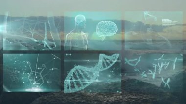 DNA iplikleri ve beyin görüntülerinin üzerinde bilimsel veri işleme animasyonu. Biyoteknoloji, genetik, nöroloji, analiz, yenilik, fütüristik