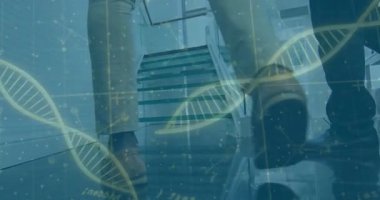 Ofis koridorunda yürüyen insanlar üzerinde DNA ipliği ve ikili kodlama animasyonu. Teknoloji, genetik, yenilik, dijital, veri, biyoteknoloji