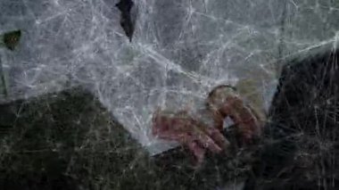 Ağ bağlantıları ve veri işleme animasyonuna sahip ticari profesyonel okuma belgesi. Teknoloji, ağ, dijital, analitik, yenilik, iletişim