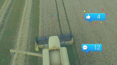 Drone, kırsal kesimdeki buğday tarlalarında sosyal medya simgelerinin animasyonunu yakalıyor. Tarım, teknoloji, yenilik, bağlantı, kırsal, ağ
