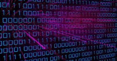 Okulda ikili kod ve dijital çizgilerle dinamik veri işleme animasyonu. Teknoloji, yenilik, bağlantı, kodlama, eğitim