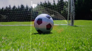 Futbol topunu tekmeliyor, arka planda gol ağıyla sahada oyuncu. atlet, spor, futbol, rekabet, aktif, takım çalışması