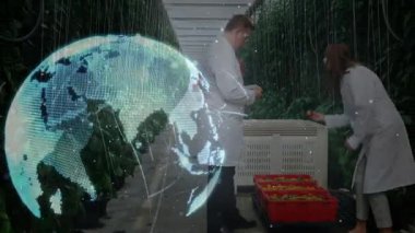 Dijital küre ve veri işleme animasyonlarıyla seradaki bilim insanları. Teknoloji, araştırma, yenilik, sürdürülebilirlik, çevre, analiz