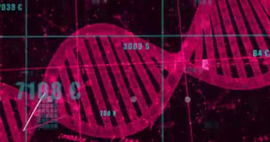 Finansal veri grafikleri ve para birimi sembolleriyle DNA iplikçiklerinin animasyonu. Biyoteknoloji, finans, genetik, veri görselleştirme, analitik, yenilik
