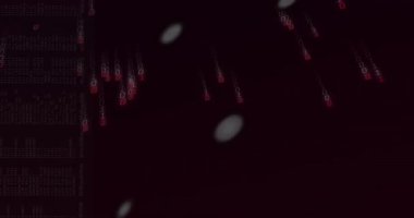 Dijital kalıpların animasyonu ve soyut teknolojik arka plan oluşturan ikili kod. Teknoloji, kodlama, fütüristik, matris, veri, ağ