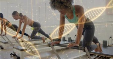 DNA dizisi animasyon kaplamalı yenilikçi makineler üzerinde çalışan kadınlar. Fitness, Pilates, egzersiz, egzersiz, sağlık, sağlık