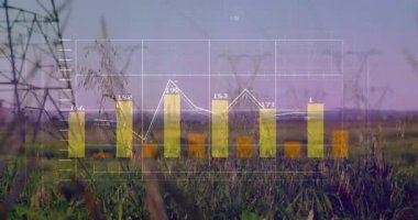 Gün batımında çimenli alanda çizgi ve çizgi animasyonu. Analizler, büyüme, ilerleme, veri, rapor, finansman