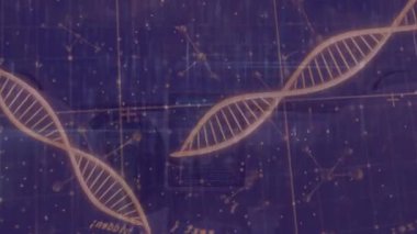 Bilimsel veriler işleniyor, DNA ipliği animasyondaki ikili kodlama ile iç içe geçiyor. Biyoteknoloji, biyoenformatik, genetik, yenilik, teknoloji, dijital