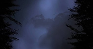 Siluetli ağaçlar tarafından çerçevelenmiş karanlık bulutlar gece gökyüzünde uğursuz şekiller oluşturuyor. Fırtına, doğa, hava, dramatik, atmosferik, gece vakti