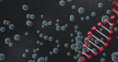 Virüs yapısı, koronavirüs parçacıkları ve genetik materyali gösteren DNA iplikçikleri. Viroloji, mikrobiyoloji, bulaşıcı, salgın, moleküler, bilim